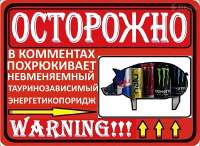 рыг пиг.jpg