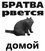 пиздосдомой.jpg