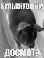 досмот.png