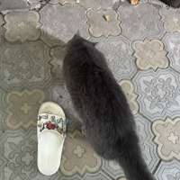 IMG9769.jpeg