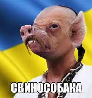 16096199115070.jpg