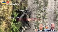 17521220796650.mp4