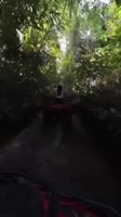 IMG2710.MP4