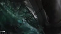 Untitled Project 17.mp4