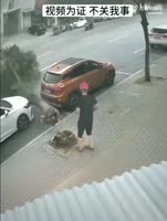 china.mp4