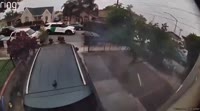 1678626251237.mp4
