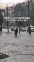 5119699804393025133.mp4