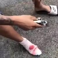 1644111397091.mp4