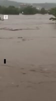 1655169130943.webm