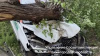 нн каршеринг.mp4