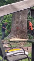 1690713458938.mp4