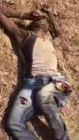 1682537655028.webm