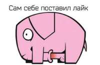 666.JPG