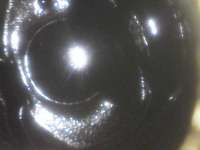 1752759206665.jpg