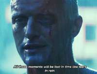 IMG1867.jpeg