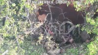 17528372733020.mp4