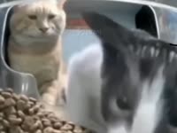 9765677457.mp4