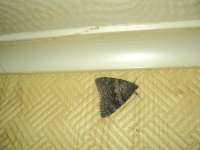 DSC00289.JPG