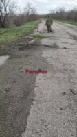 original.mp4