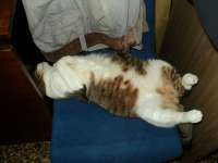 DSC00288.JPG