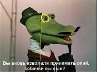 15018574676270 (1).jpg