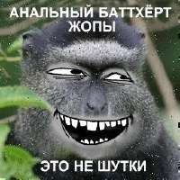 16856970934620.jpg