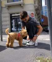 pierregasly-good-few-days-back-home-last-push-before-the-v0-h71es3q6e4gf1.jpg