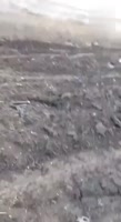 1734696923352-0.mp4