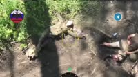 17517944648830.webm
