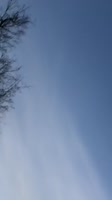 1701534815180.mkv