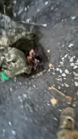 17516853530040.mp4