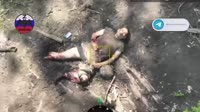 17517944648830.webm