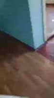 1671335453315.mp4