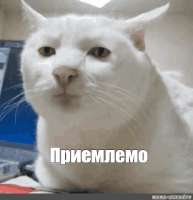 приемлемо.gif