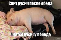 fa69c68bb5ae6b0d58c3a069d91fef8e.jpg