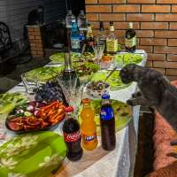 28B7F1BE-757D-4472-A70B-E0898BB53BA1.jpeg