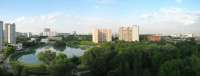 Sviblovo2010-05-29.jpg