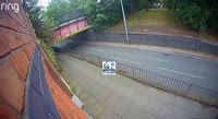 1654087501906.mp4