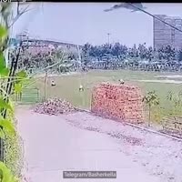 1607039278958.mp4