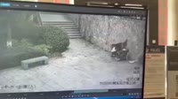 1743655185414.mp4