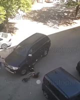 lgmfkn2xs0f0d11m01024x1280.mp4