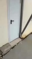 1688375945741.mp4