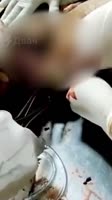 VID20250805204358480.mp4