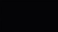 1596998431119.webm