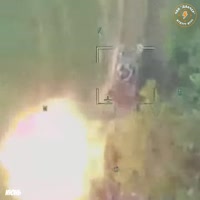 17556993566760.webm