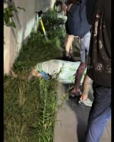 IMG7803.MOV