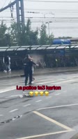 1650522077936.mp4