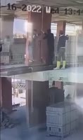 1685103446668.mp4
