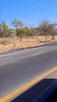 1689968675627.mp4