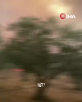1615758390494.webm
